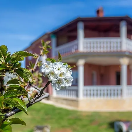 Апартаменти Nikola *