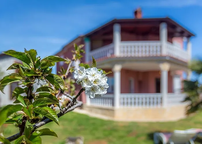 Apartment Apartment Nikola *